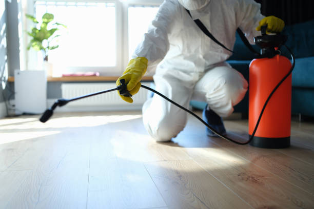 Reliable Odor Removal contractor in Beaver City, NE by Trauma Clean Pros